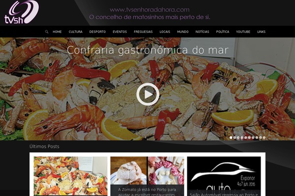 Focus theme site design template sample