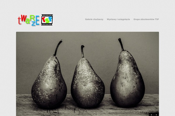 Wpex-bizz theme site design template sample