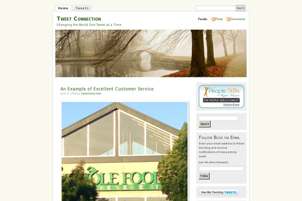 Misty Look theme site design template sample