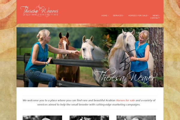 Acoustic theme site design template sample