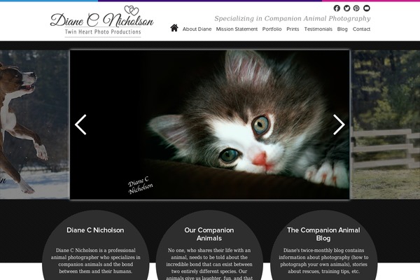 Wireframe_v1 theme site design template sample
