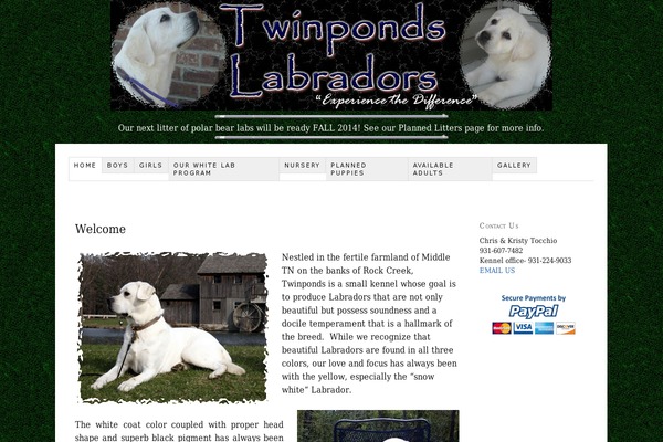 Thesis 1.8.5 theme site design template sample