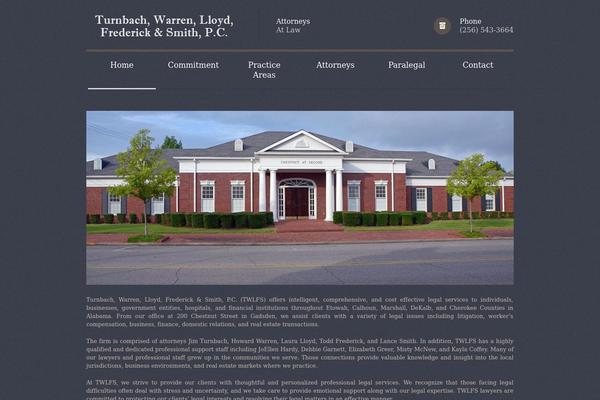 Themis theme site design template sample