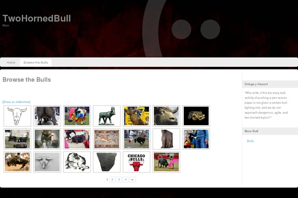 Site using NextGEN Gallery plugin