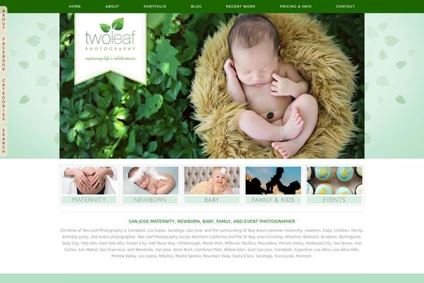 ProPhoto 5 theme site design template sample