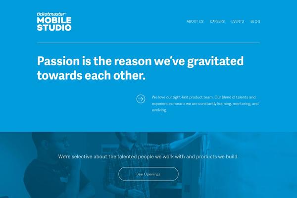 Site using Responsive Lightbox by dFactory plugin