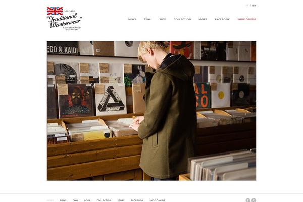 tww theme websites examples