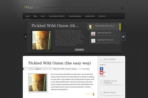Polished theme site design template sample