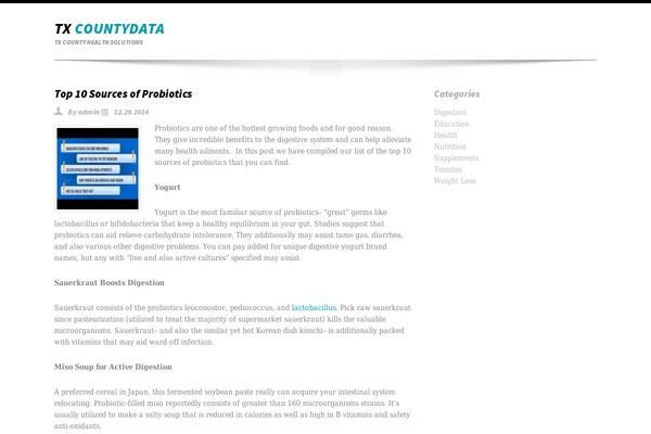 WP Simple theme site design template sample