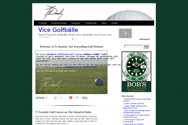 audyasha theme websites examples