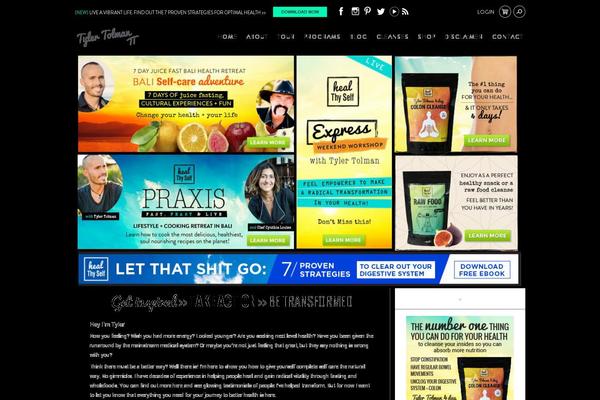 Ignition theme site design template sample