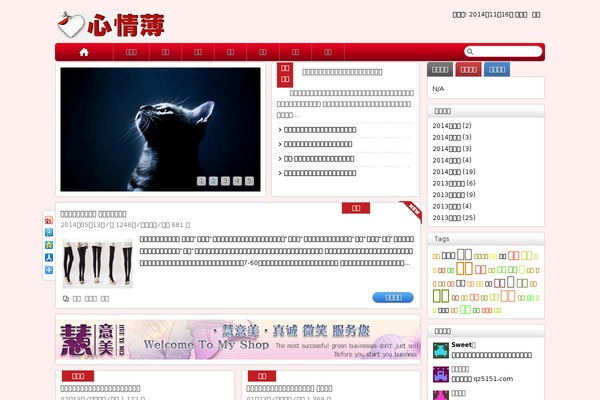 HotNews Pro theme site design template sample