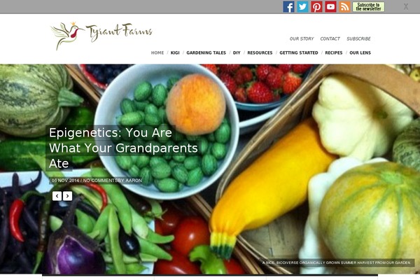 viewport-child theme websites examples