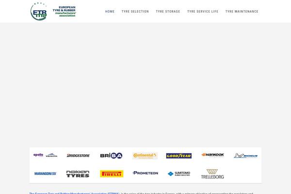 Anycar theme site design template sample