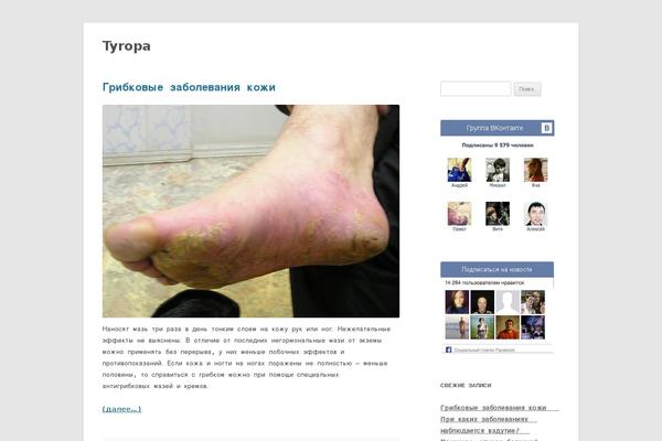 Twenty Twelve theme site design template sample