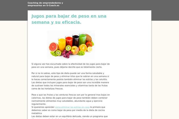 Ginkaku theme site design template sample