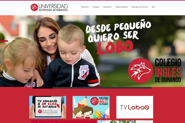 studiofrancesca theme websites examples