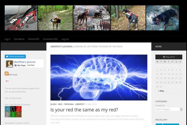 Site using Category-rss-widget-menu plugin