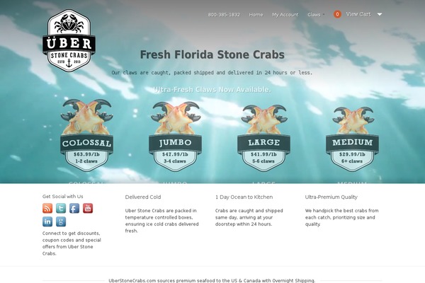 Scrollider theme site design template sample