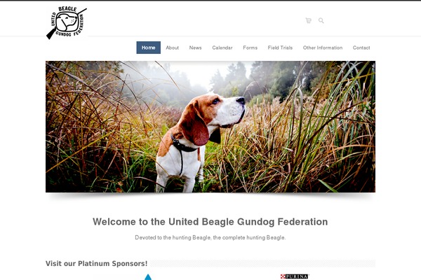 Site using Smart Icons For WordPress plugin