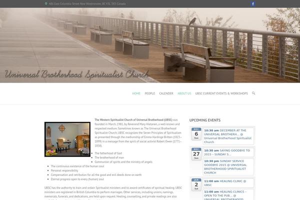 Interface theme site design template sample