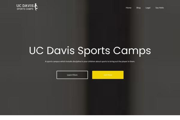 Illdy theme site design template sample