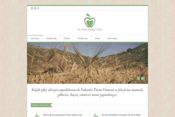 Site using Gallery by BestWebSoft plugin
