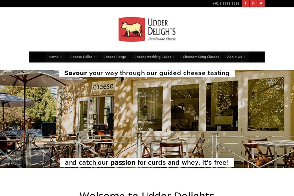 Metrolium theme site design template sample