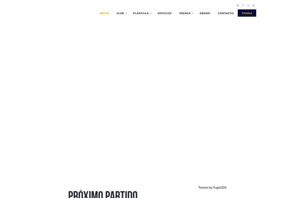 Site using Youtube-gallery-vc plugin