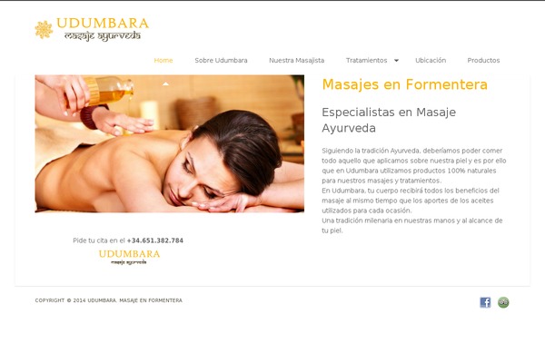 Thebeautysalon2 theme site design template sample