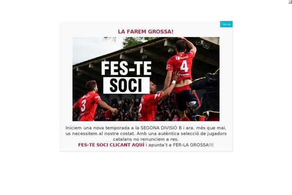 Site using Goodlayers-soccer plugin