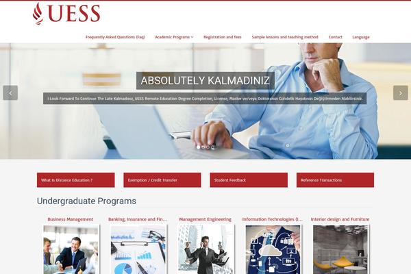 Flat Theme theme site design template sample
