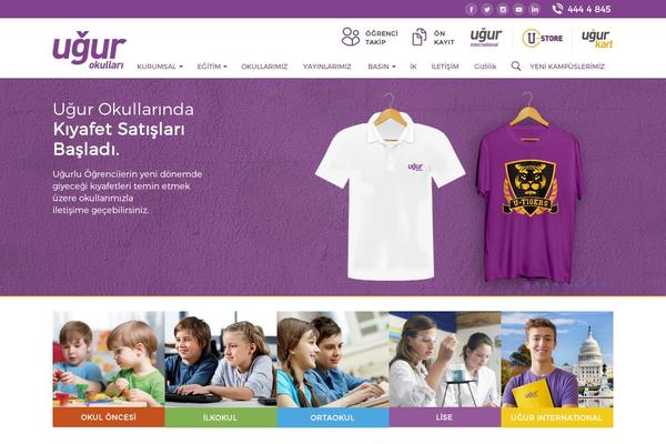 Ubit theme websites examples