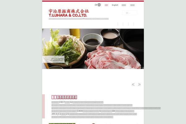 Catch Everest Pro theme site design template sample