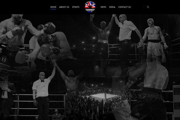 Salient2 theme site design template sample