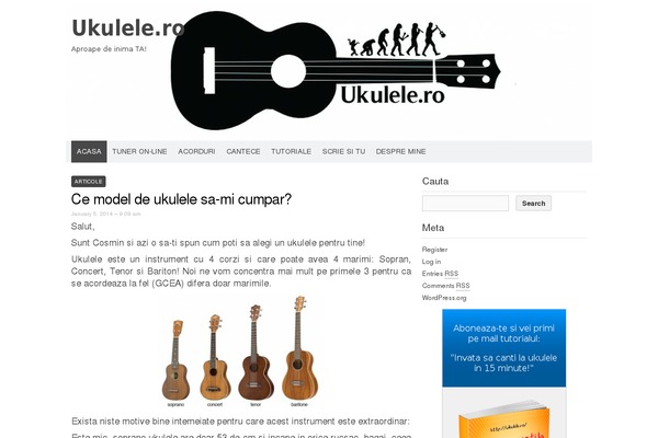 Codium Extend theme site design template sample