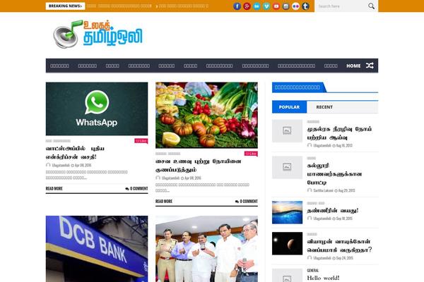 NanoMag theme site design template sample