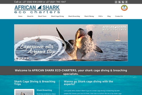 Astra theme site design template sample