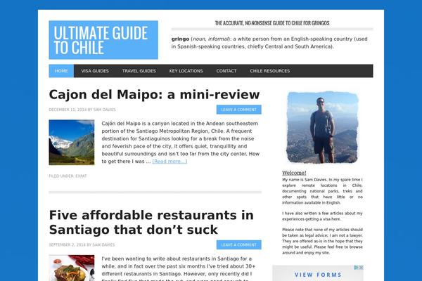 Metro Pro theme site design template sample