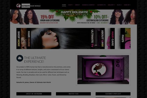 Site using Accordion Slider plugin