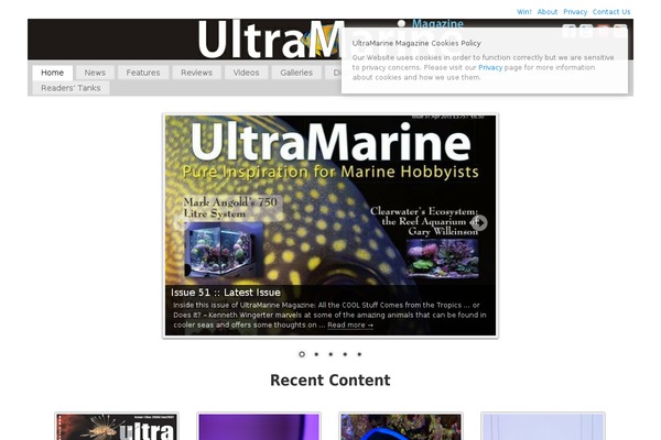 Site using WP Cookie Banner plugin