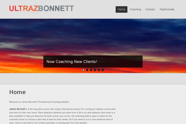 Panoramica theme site design template sample