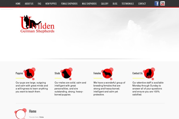 Rounder theme site design template sample