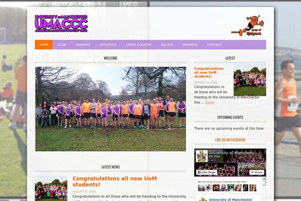 Metro Pro theme site design template sample