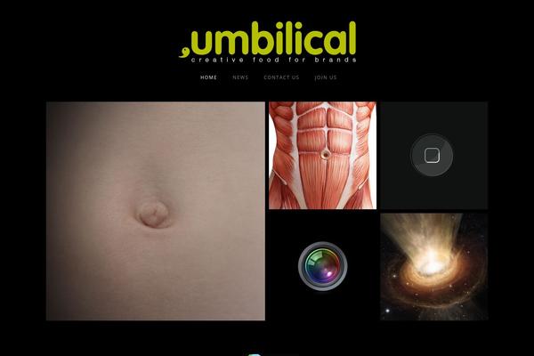 bleecker-child theme websites examples