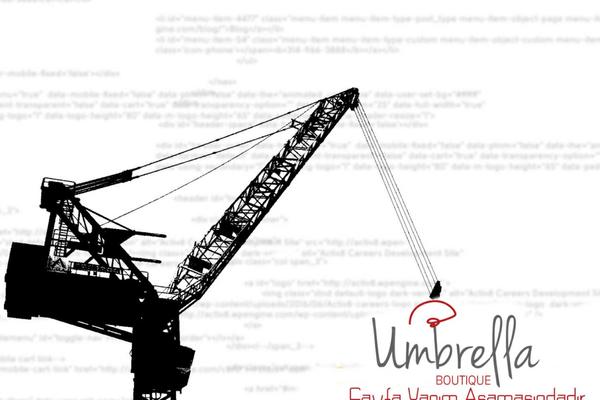 Site using Coming Soon Page & Maintenance Mode by SeedProd plugin