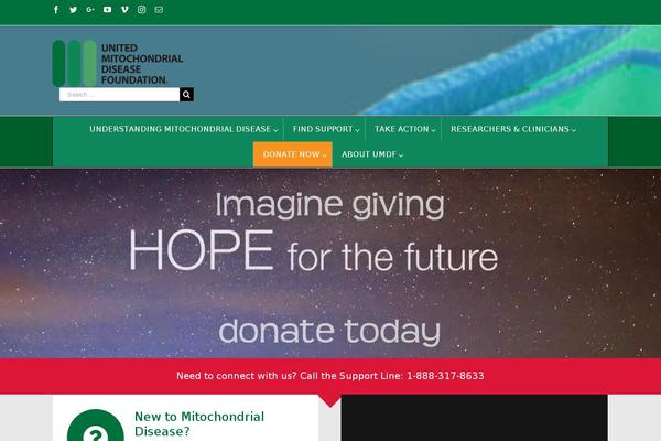 Divi-business-pro theme site design template sample