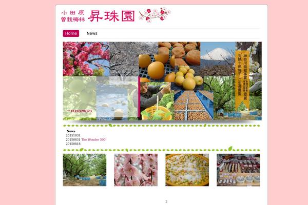 ColorWay theme site design template sample