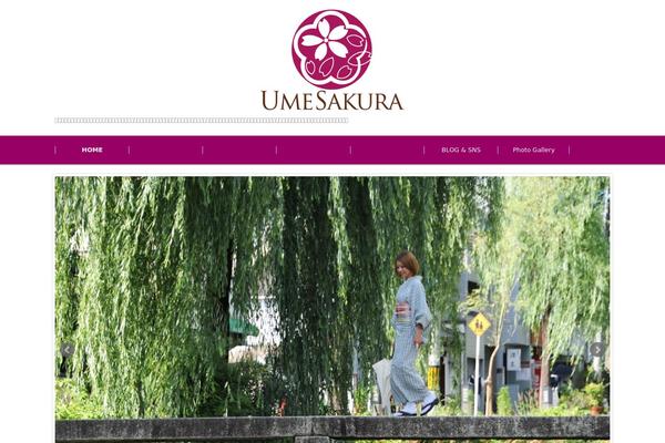 Fsv002wp-basic-c01 theme site design template sample