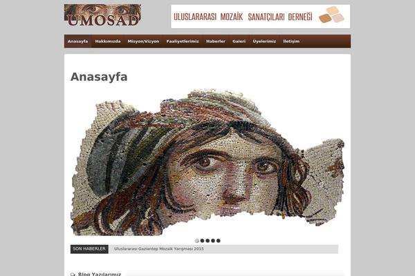 Site using HT News Ticker plugin
